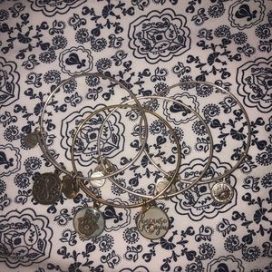 Alex and Ani charm bracelets
